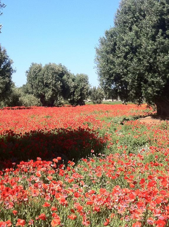 Masseria Torremossa Фазано Екстер'єр фото